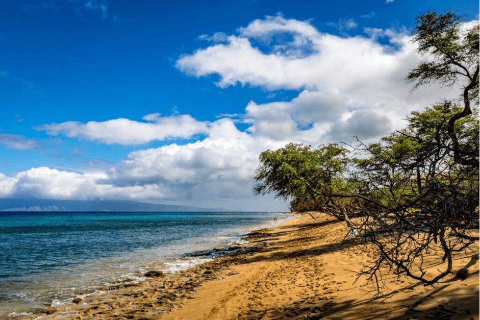 10 Most Instagrammable Spots in Maui (2026 Guide)
